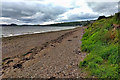 Fortrose Bay Foreshore