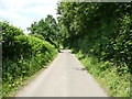 Lane from Whitehall to Lilley Bottom Road, King