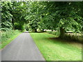 The Hertfordshire Way on the driveway to The Bury