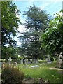 Holy Trinity. West End: churchyard (i)