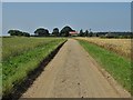 Approaching Cliffe Dales Farm