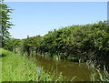 The Nottingham Canal near Cossall