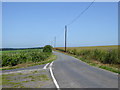 Lane towards Bekesbourne