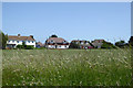 Houses on Adisham Road, Bekesbourne