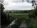 Gate into field on north side of Stygate Lane