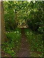 Footpath to Saltbarn Farm