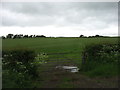 NY5369 : Fields near Kirkcambeck by David Purchase