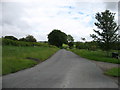 The lane to Bewcastle from the west