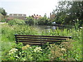 Pond in Ferrensby.