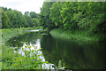 Forth & Clyde Canal (Glasgow Branch), Firhill