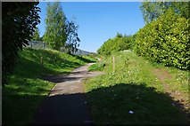 SK4991 : Footpath to Finch Gardens, Bramley, Rotherham by P L Chadwick