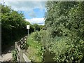 Nottingham Canal, west of Shilo Way [A6096]