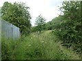 Public footpath, eastern perimeter of Newthorpe sewage works