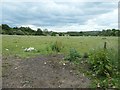 Farmland on the south side of the A610, near Giltbrook