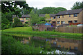 Forth and Clyde Canal, Netherton