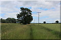 On the Footpath between Appleton Roebuck and Colton