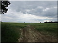 Footpath through a wheat field