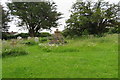 Remains of Carhampton market cross