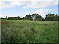 Mareham Pastures Local Nature Reserve