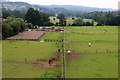 Stanway Grounds from Stanway Viaduct