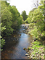 The River Wear upstream from Haswick