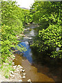 The River Wear downstream from Haswick