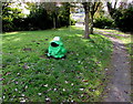 Frog litter bin, Llanfaes, Brecon