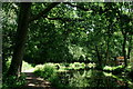 Basingstoke Canal