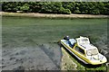 West Looe: Boat moored on the river