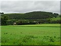 Farmland at Millmount