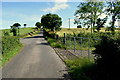 H3357 : Ballyard Road, Castlemervyn Demesne / Glasmullagh North by Kenneth  Allen