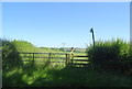 Footpath off Red Burrow Lane