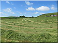 NO3055 : Hay making time near Wardend - drying after cutting by Peter Wood