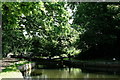 Basingstoke Canal