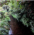 Upstream along the River Avon near Church Street, Pewsey