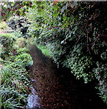SU1659 : Upstream along the River Avon near Church Street, Pewsey by Jaggery