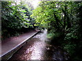 Downstream along the River Avon near Church Street, Pewsey