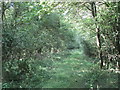 Restricted byway near Lenton Pasture