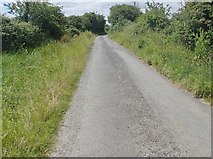J0608 : View WSW along Racecourse Road, Dundalk by Eric Jones