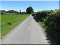 Minor road heading in the direction of Mains of Clunie