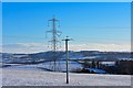 Towards the Loanhead Quarry and Beith