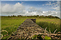 WW2 Home Guard defensive wall at Pentre Berw (2)