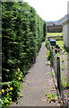 Hedge-edged public footpath, Talybont-on-Usk