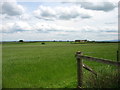 Farmland at Lower Green Quarries