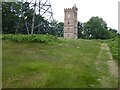 The Gothic Tower at Painshill