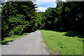 Path, Cladagh Glen