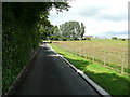 Footpath on the driveway to Riffa Manor, Leathley