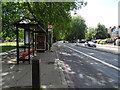 Bus stop and shelter on Clapton Common (A107)