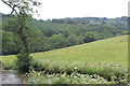 Hillside west of Aqueduct, Mon & Brec Canal