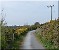 Wales Coast Path at Tanlan